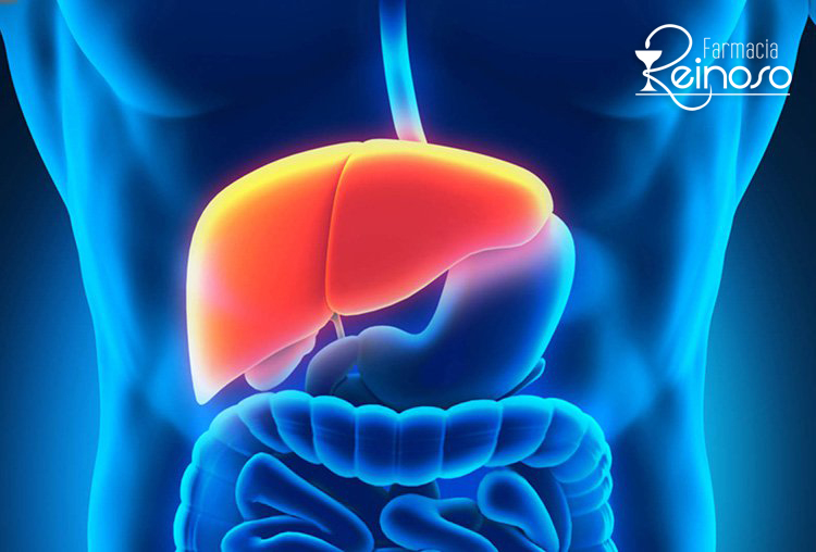 ¡Depura tu hígado con estos alimentos!