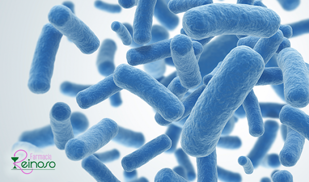 La importancia de los Probióticos