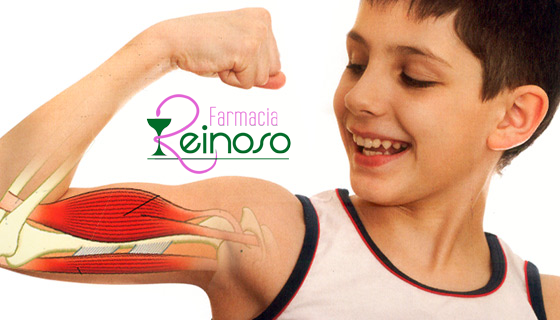 Relación entre el calcio y nuestros músculos